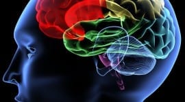 Ασθένειες: Η λύση βρίσκετε στον εγκέφαλο