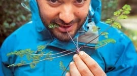 Ο Έλληνας νεαρός επιστήμονας που κατάφερε να θησαυρίσει μαζεύοντας άγρια χόρτα από το βουνό!!!