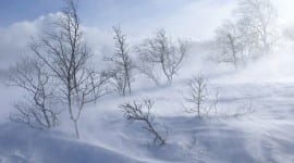 Παγωνιά από την Τετάρτη – Χιόνια και στην Αττική
