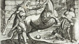 Η ρομά ως ταύρος μαινόμενος εν ταχυδρομείω