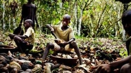 Τα παιδιά της πικρής σοκολάτας Σύγχρονοι σκλάβοι