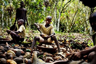 Τα παιδιά της πικρής σοκολάτας Σύγχρονοι σκλάβοι