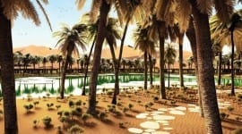 Oasis Eco Resort : Μια όαση «καταφύγιο» στη μέση της ερήμου