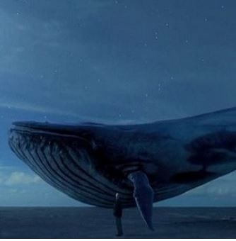 «Μπλε Φάλαινα»: 10 συμβουλές για να προλάβουν οι γονείς το κακό
